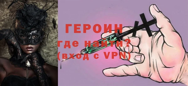 гашик Ельня