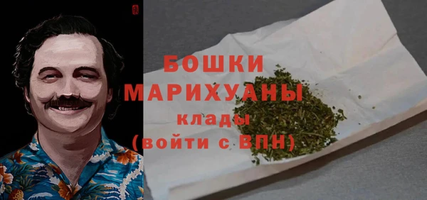 гашик Ельня