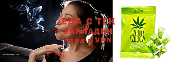 гашик Ельня