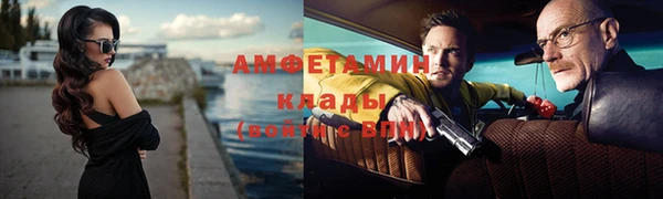 гашик Ельня