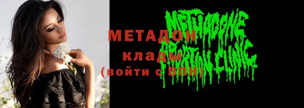 гашик Ельня