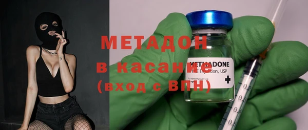 гашик Ельня