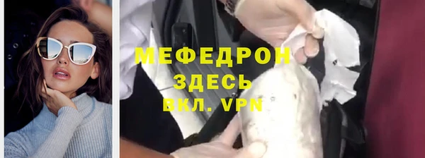 гашик Ельня