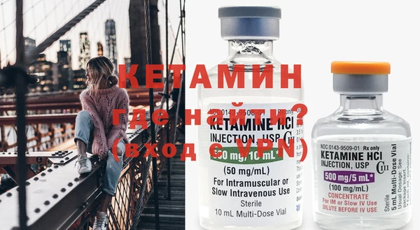 гашик Ельня