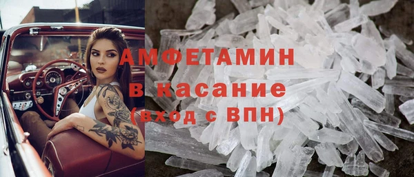 гашик Ельня