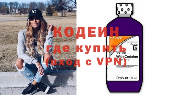 гашик Ельня