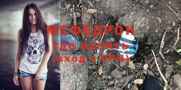 гашик Ельня