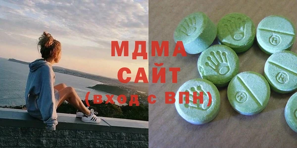 гашик Ельня