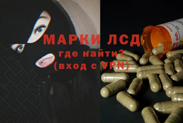 гашик Ельня