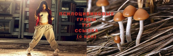 гашик Ельня