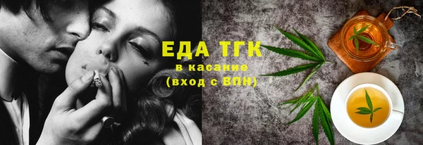 гашик Ельня