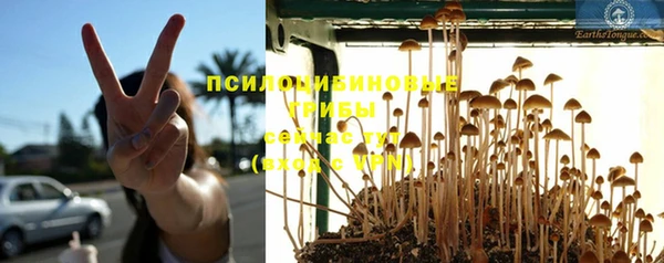 гашик Ельня