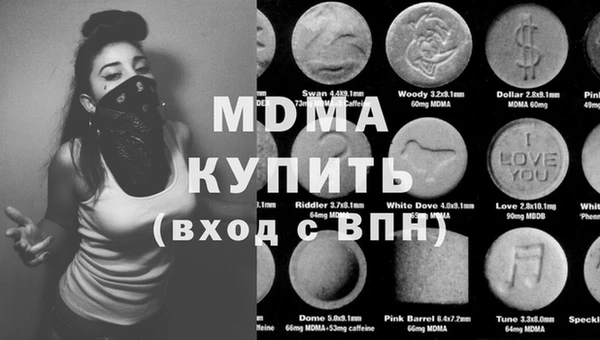 гашик Ельня