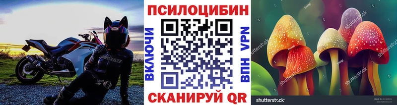 Купить закладки  Ефремов  Галлюциногенные грибы GOLDEN TEACHER 